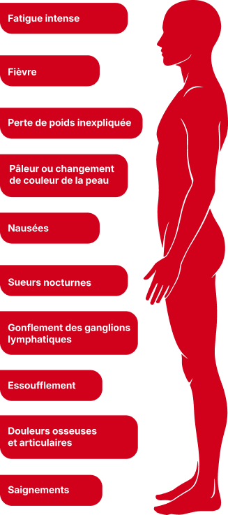 schéma de corps humain entouré de la liste des symptômes des cancers du sang